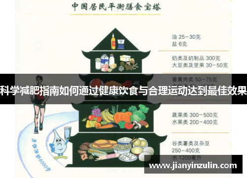 科学减肥指南如何通过健康饮食与合理运动达到最佳效果